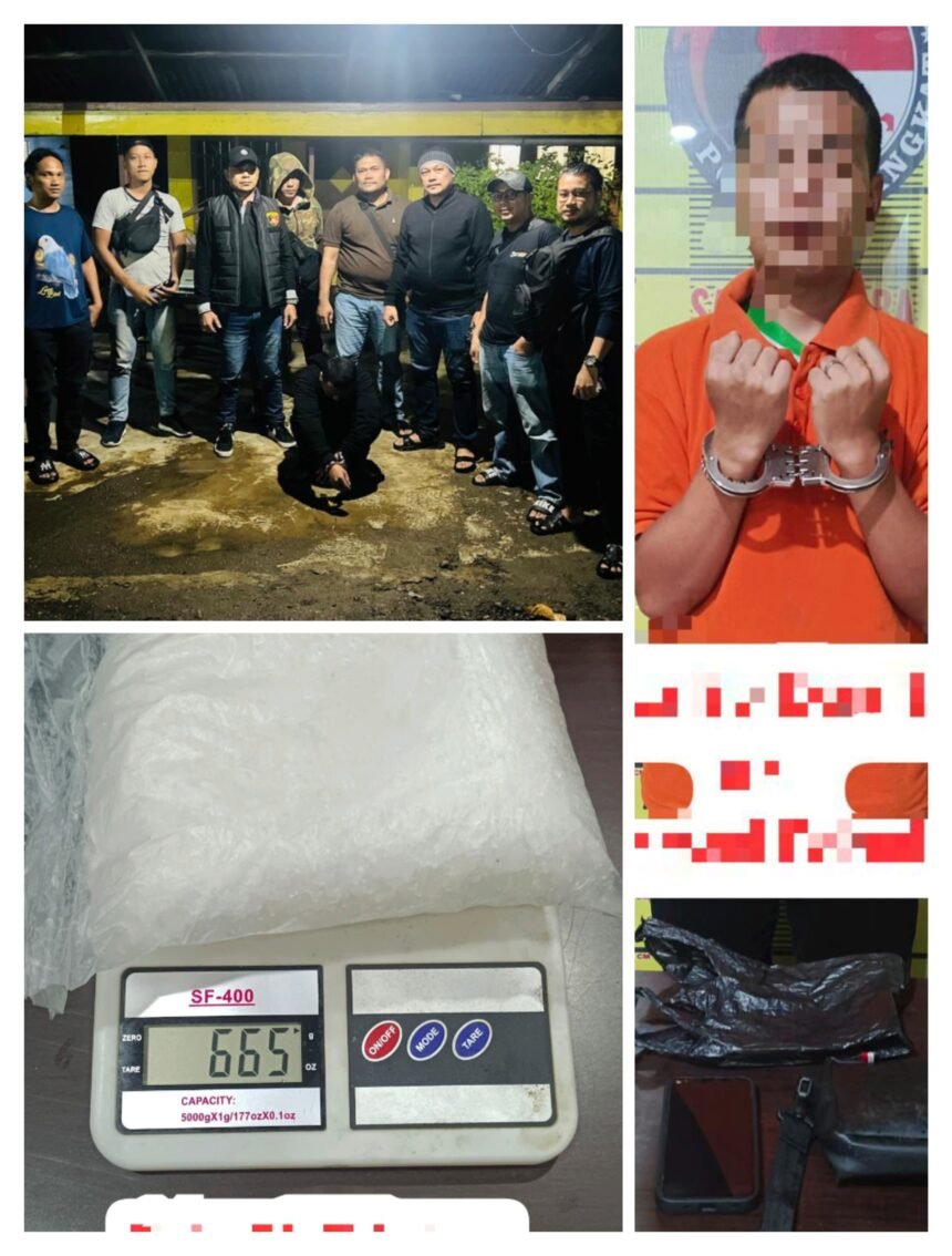 Polres Langkat Gagalkan Peredaran Sabu 600 Gram, Seorang Pria Diamankan saat Bertransaksi